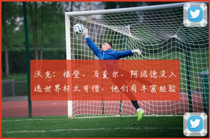沃克：福登、马奎尔、阿诺德没入选世界杯太可惜，他们有丰富经验